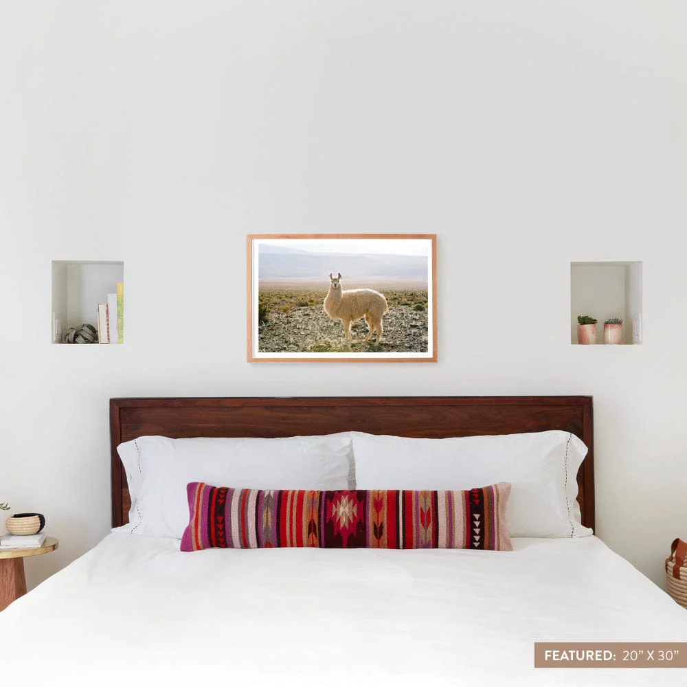 Atacama Desert - Image 4