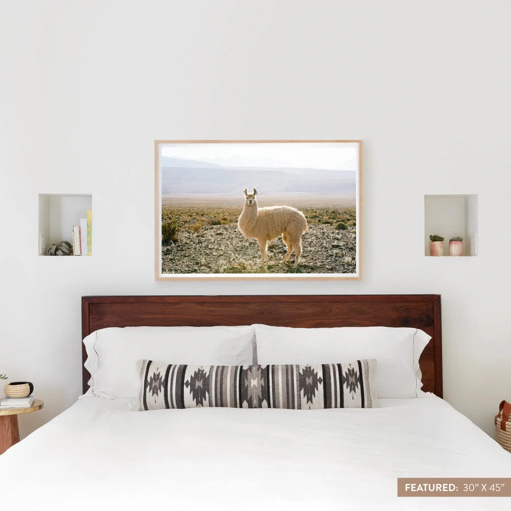 Atacama Desert - Image 5