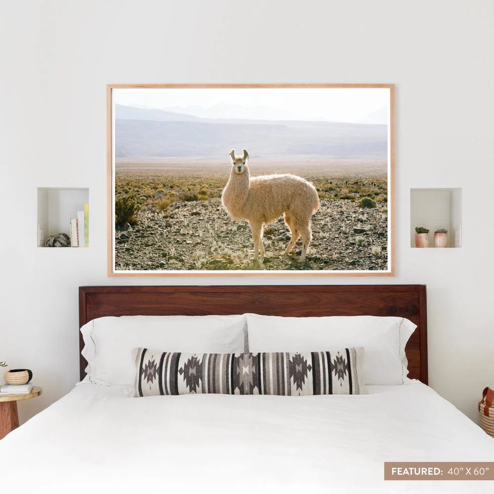 Atacama Desert - Image 6