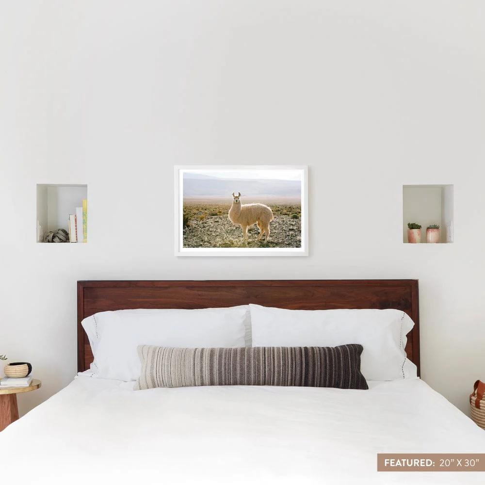 Atacama Desert - Image 7