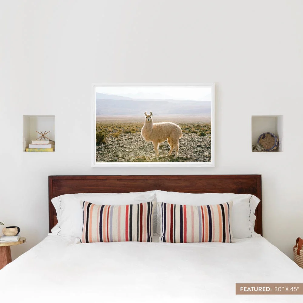 Atacama Desert - Image 8