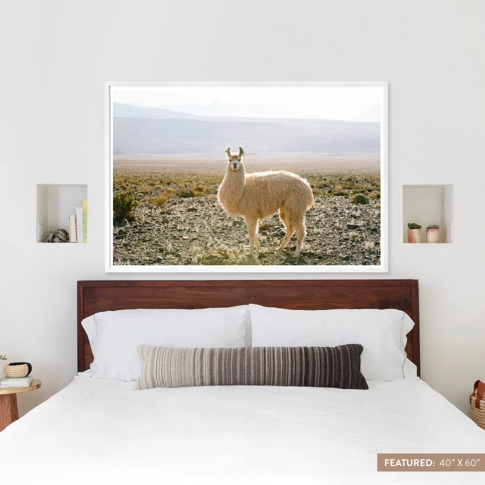 Atacama Desert - Image 9