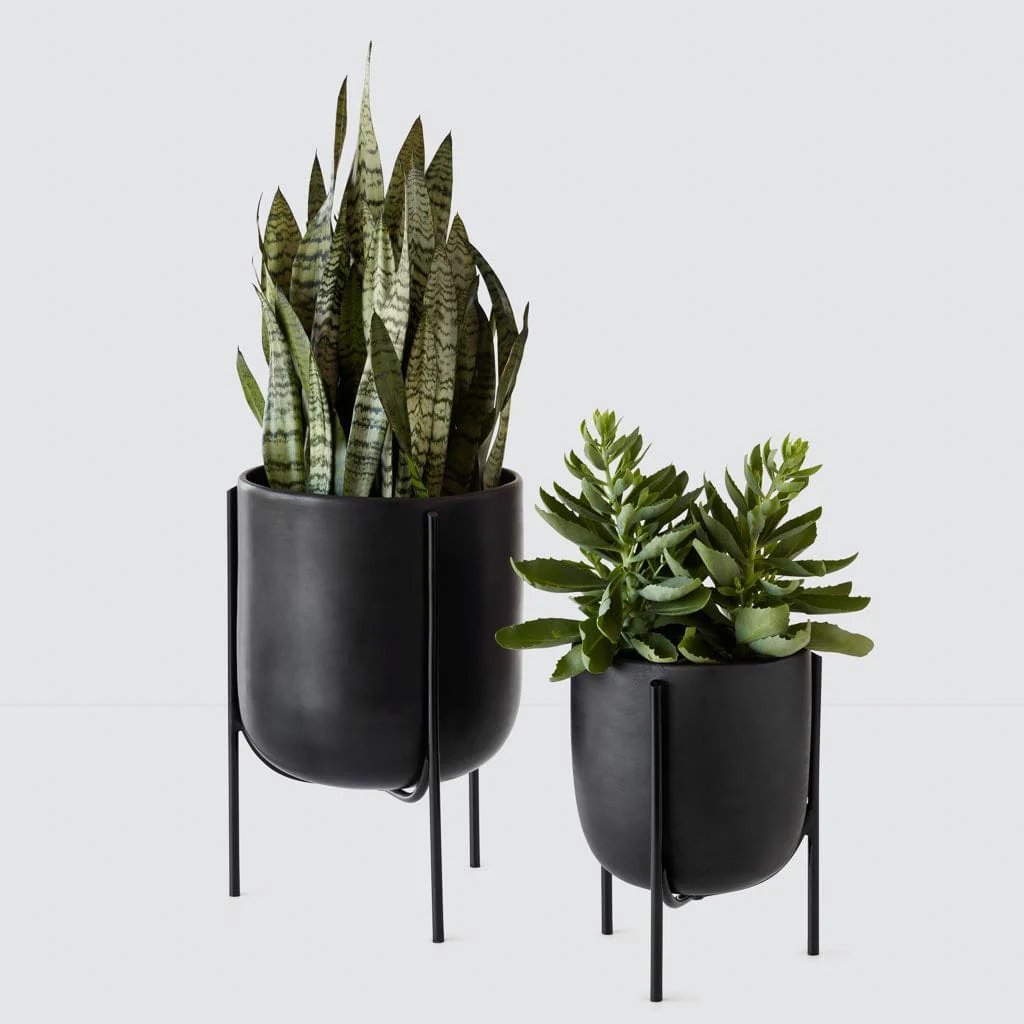 Cantaro Pots - Multiple Sizes
