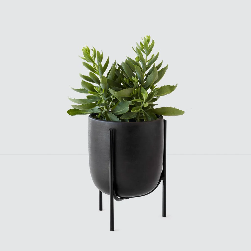 Cantaro Pots - Multiple Sizes - Image 6