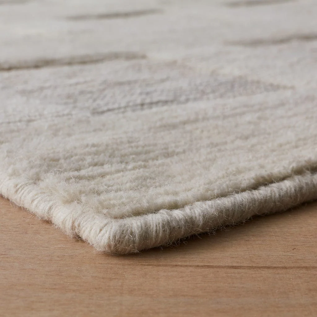 Gamini Handwoven Area Rug - Image 3