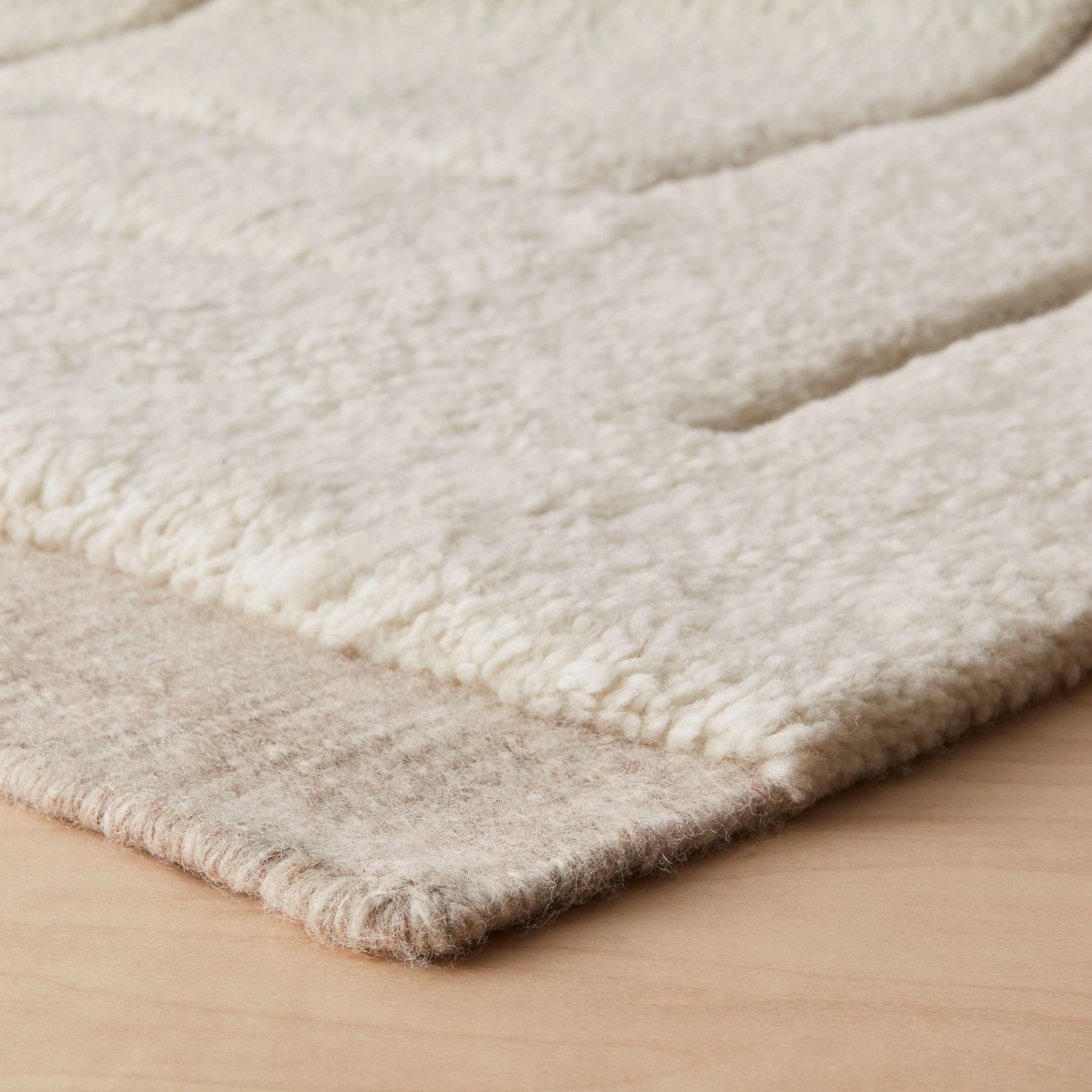 Ishir Hand-Knotted Area Rug - Image 5