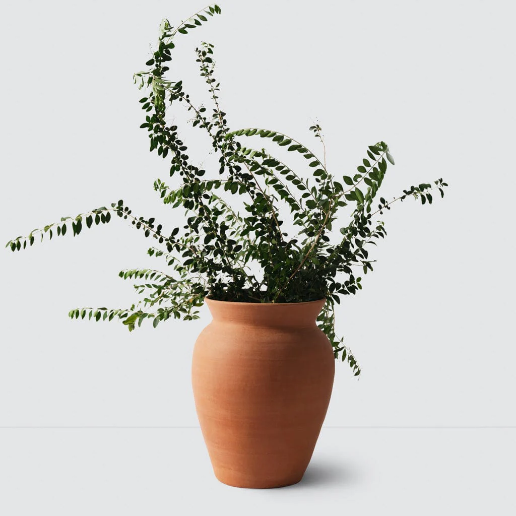 Lafayette Planter - Image 16