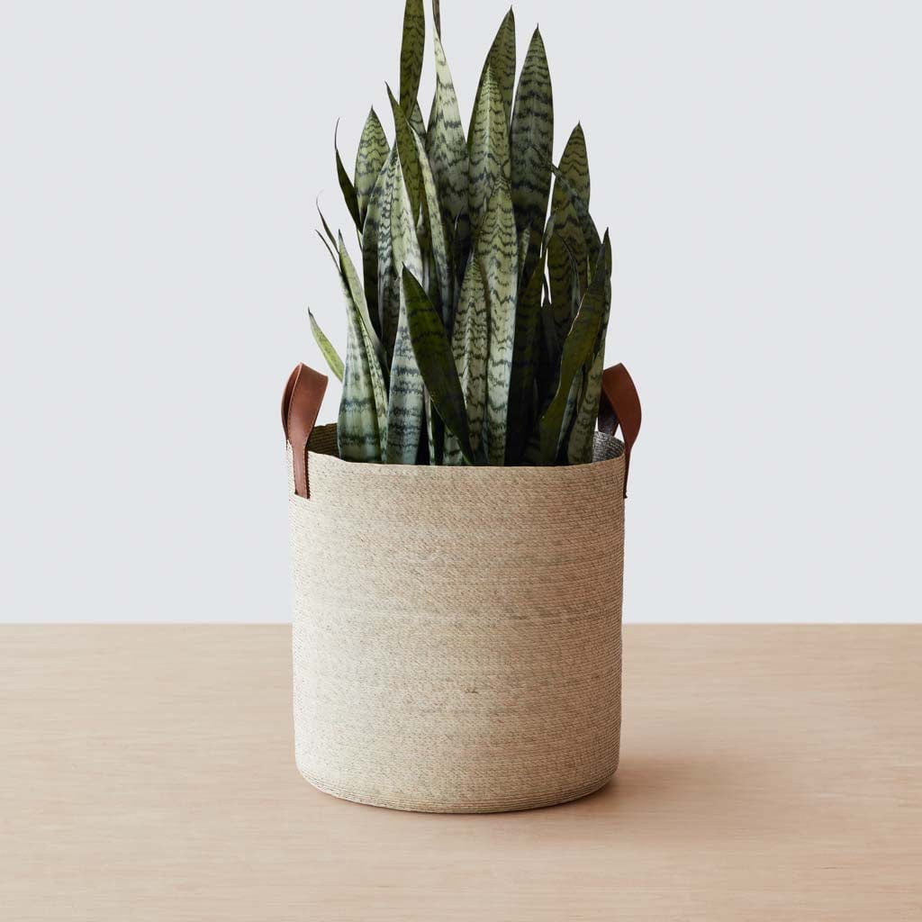 Mercado Storage Baskets - Round - Image 4