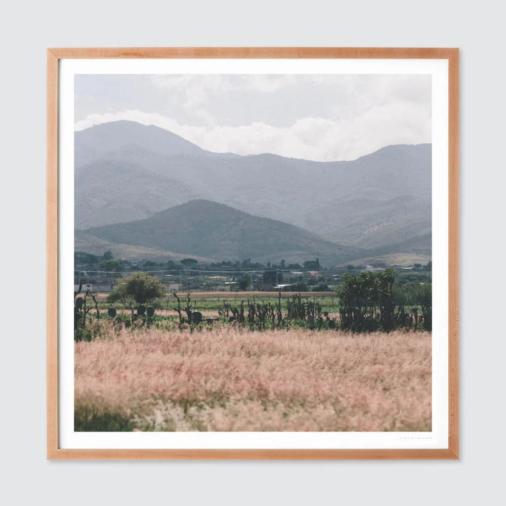 Oaxaca .02 - Image 6