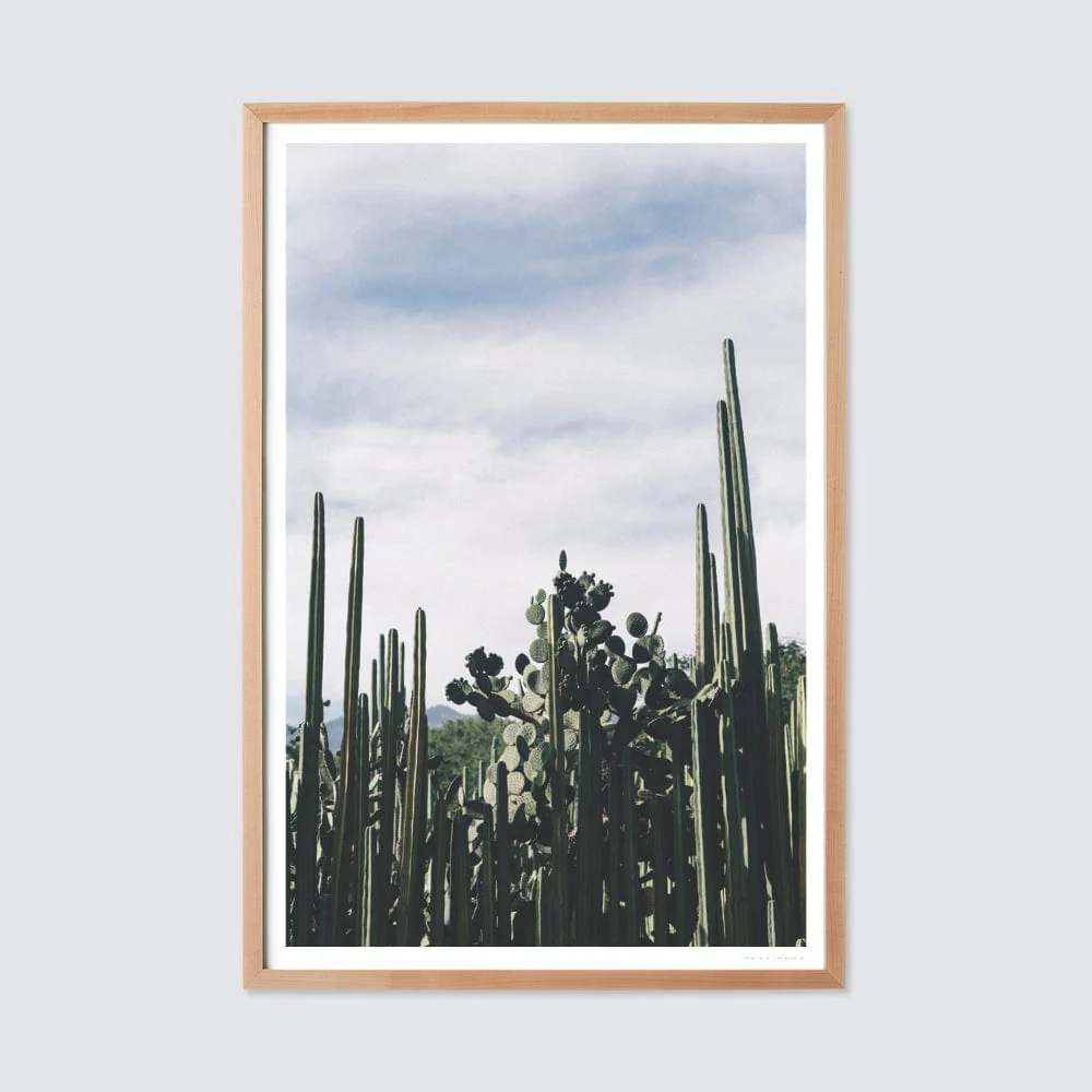 Oaxaca .03 - Image 5