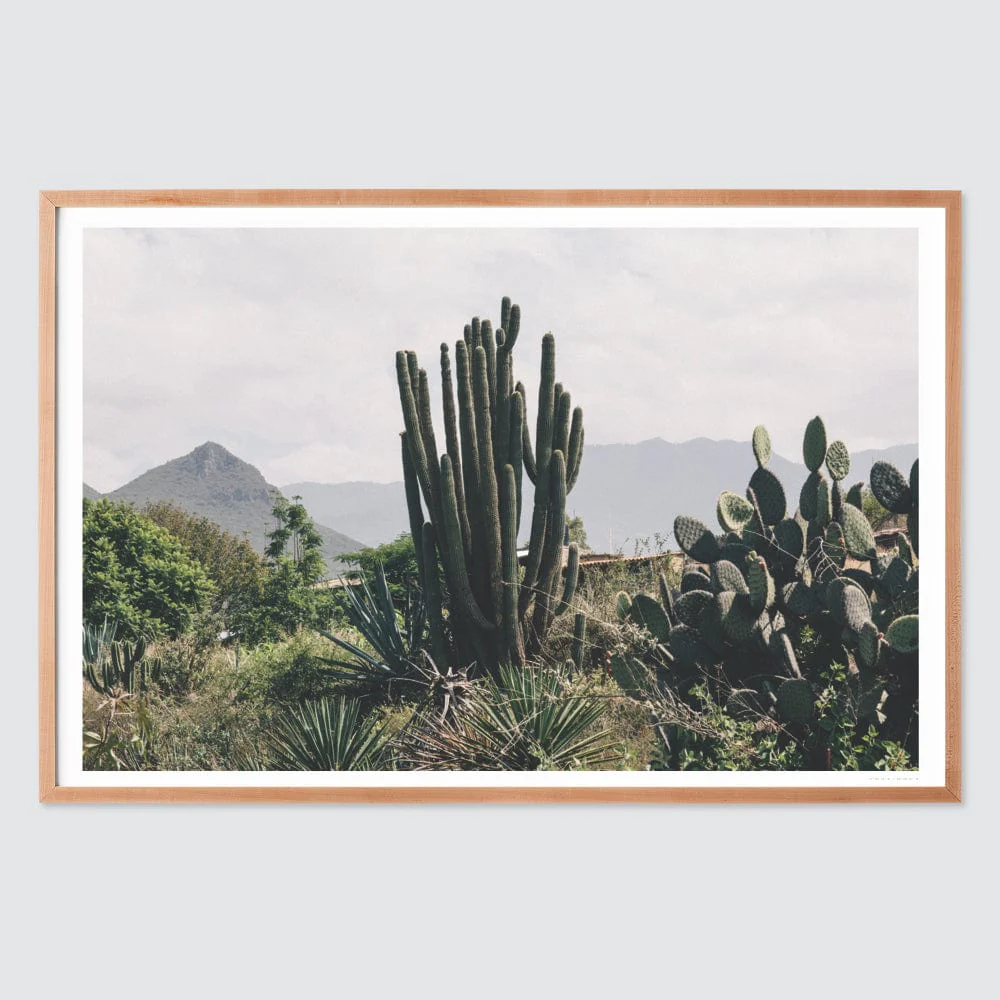 Oaxaca .01 - Image 6