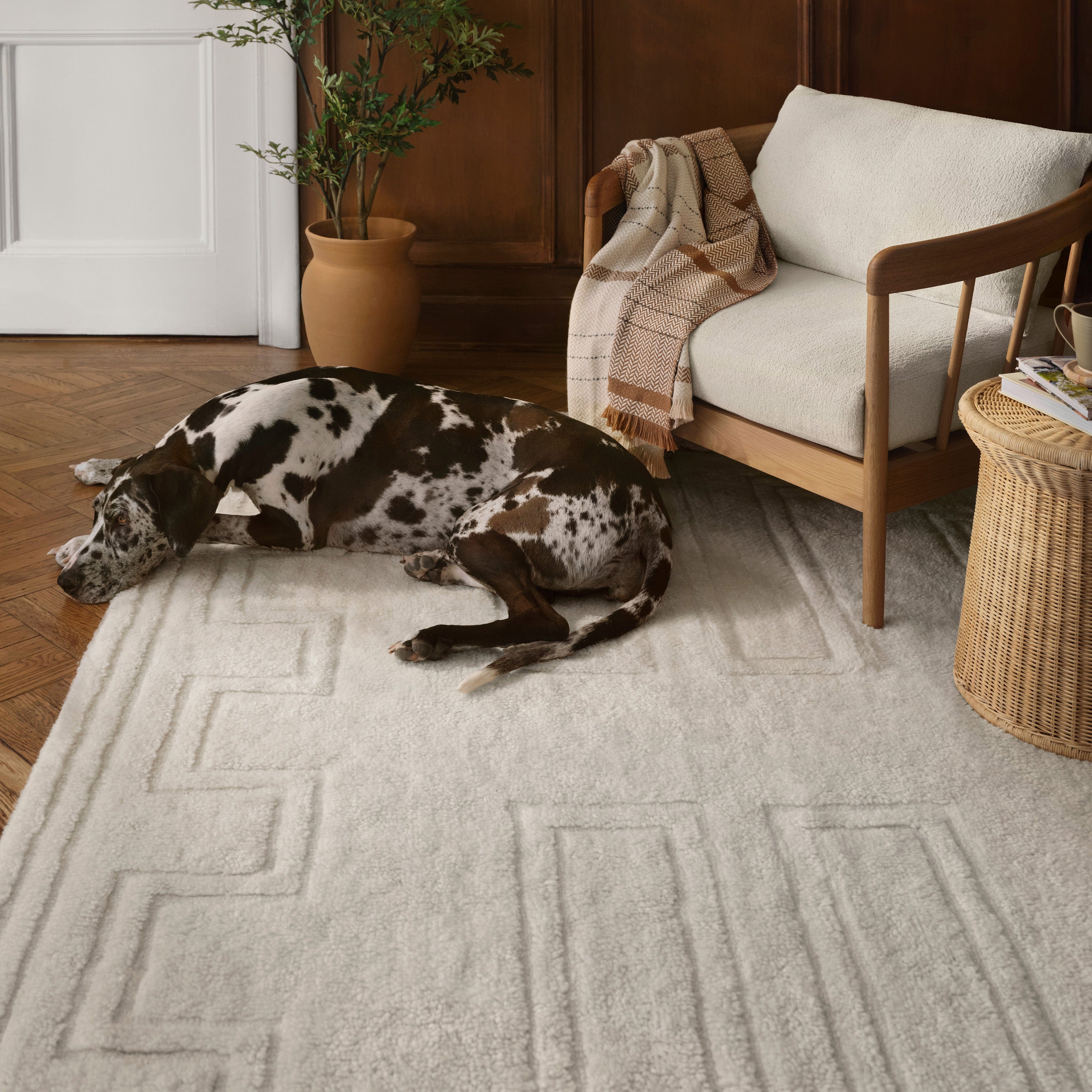 Padma Washable Area Rug - Image 10