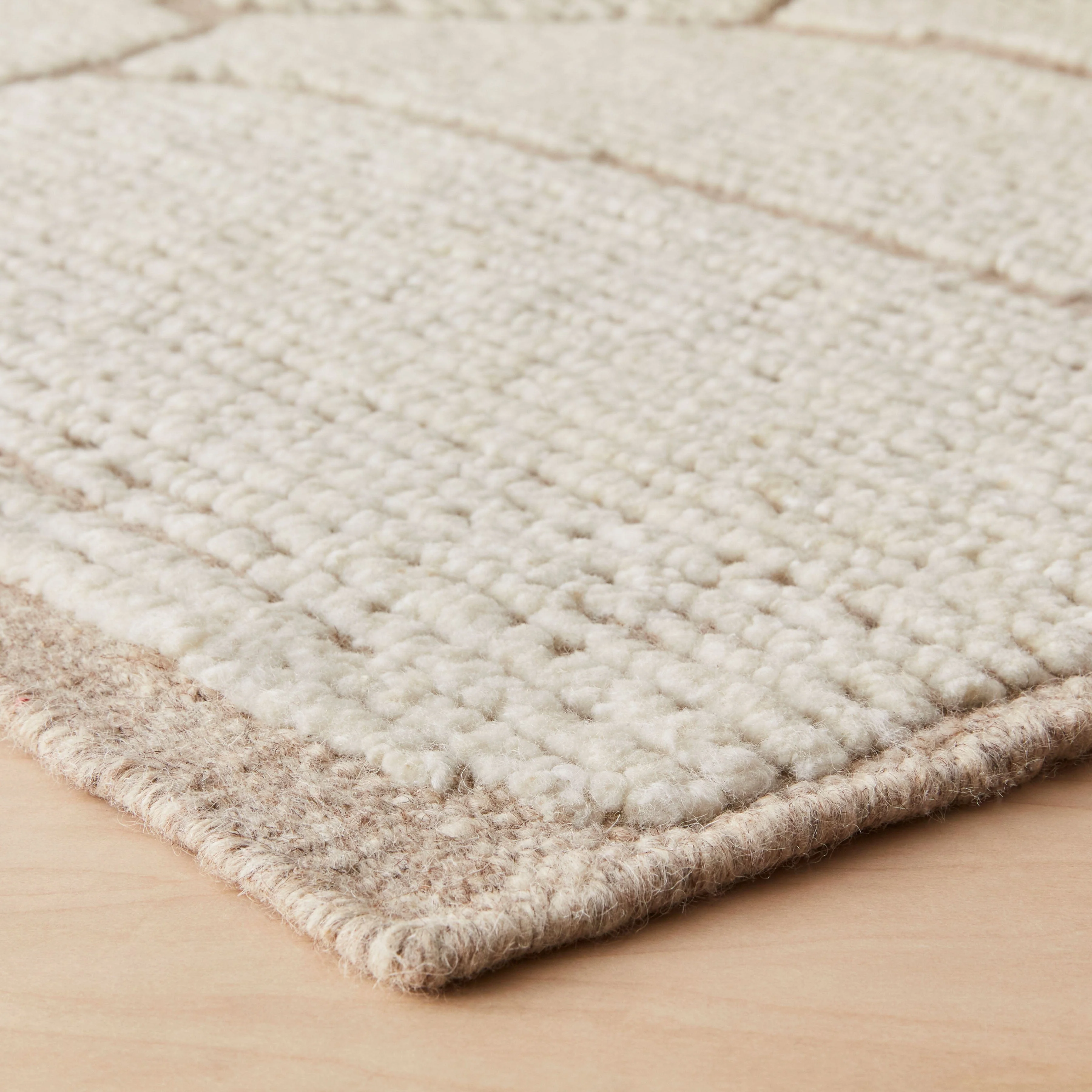 Rajani Hand-Knotted Area Rug - Image 4